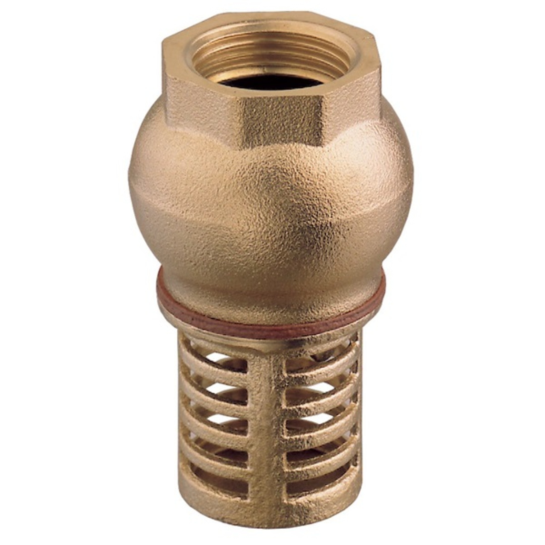 Blasted brass foot valve with rubber seal 2"1/2
