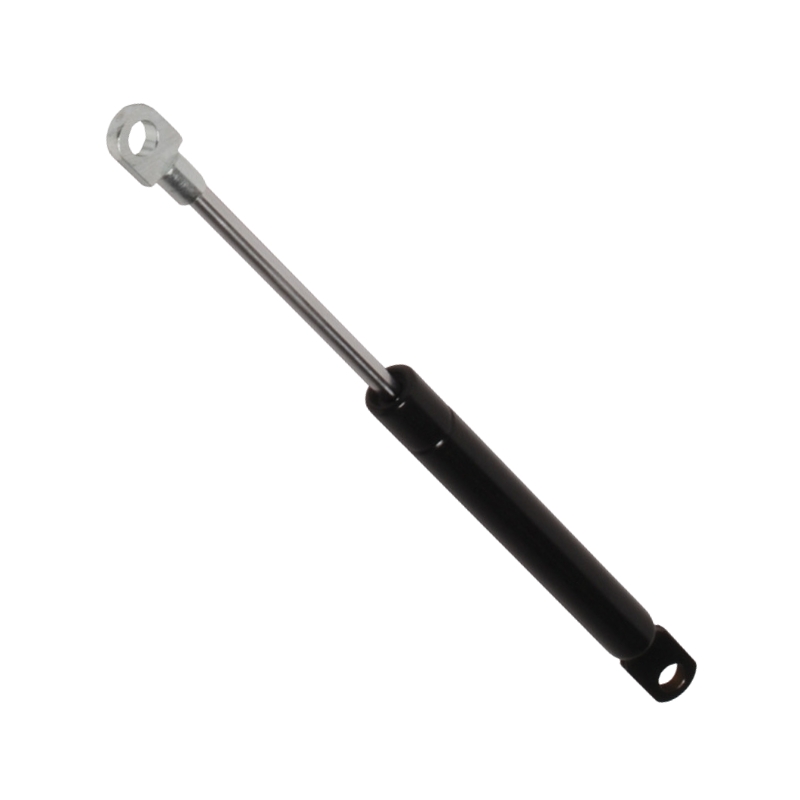PISTONE A GAS mm.700 kg.25